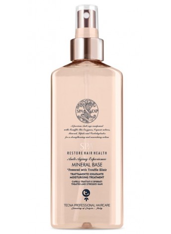 Мінеральний спрей для підготовки волосся до реконструкції (крок 2) Tecna SPA Bio-Enzymetherapy Mineral Base Мінеральний спрей для підготовки волосся до реконструкції (крок 2) Tecna SPA Bio-Enzymetherapy Mineral Base